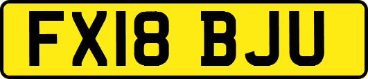 FX18BJU