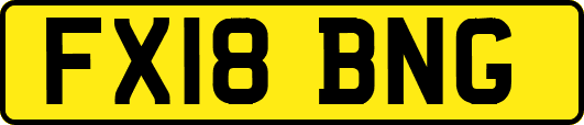 FX18BNG