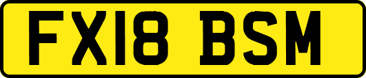FX18BSM