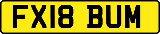 FX18BUM