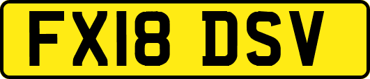 FX18DSV