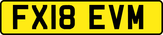 FX18EVM