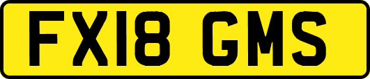 FX18GMS
