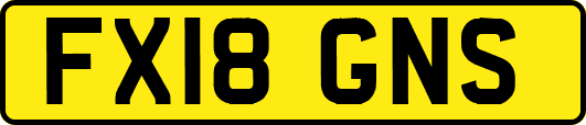 FX18GNS