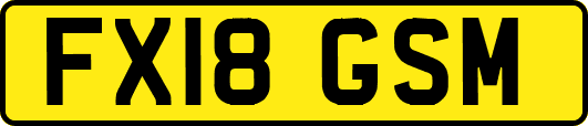 FX18GSM