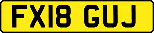 FX18GUJ