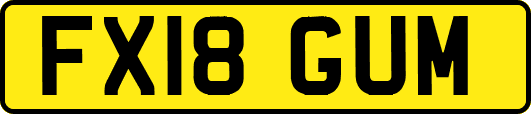 FX18GUM