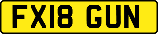 FX18GUN