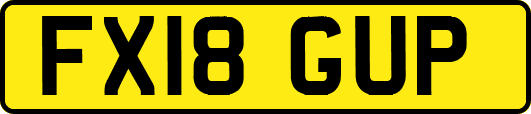 FX18GUP
