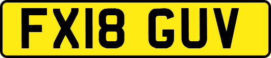 FX18GUV