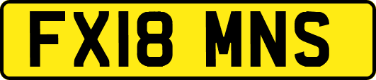 FX18MNS