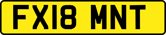 FX18MNT