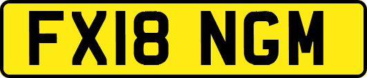 FX18NGM