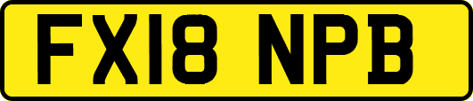 FX18NPB