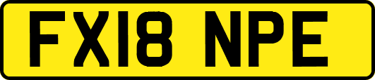 FX18NPE