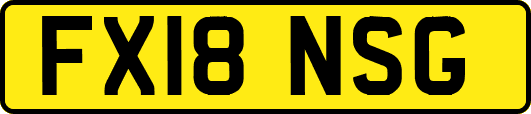 FX18NSG