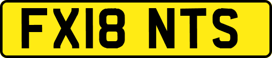 FX18NTS