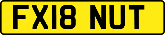 FX18NUT