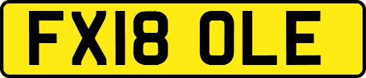 FX18OLE