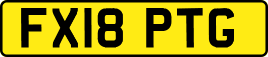 FX18PTG