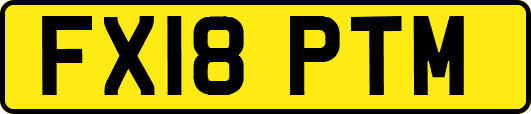 FX18PTM