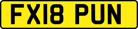 FX18PUN