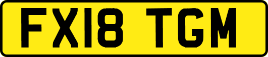 FX18TGM
