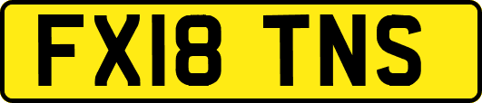 FX18TNS