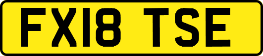 FX18TSE
