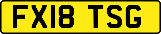 FX18TSG