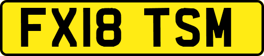 FX18TSM