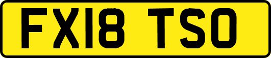 FX18TSO
