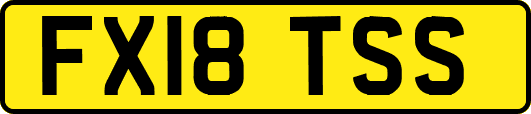 FX18TSS