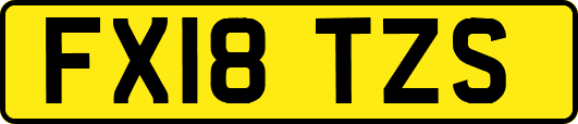FX18TZS