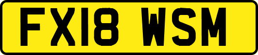 FX18WSM