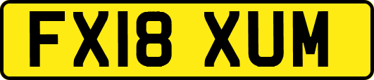FX18XUM