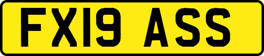 FX19ASS
