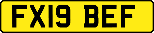 FX19BEF
