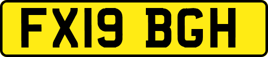 FX19BGH