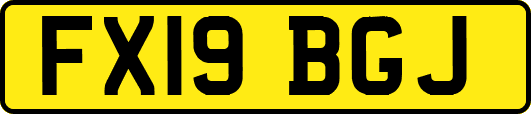 FX19BGJ
