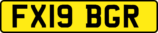 FX19BGR
