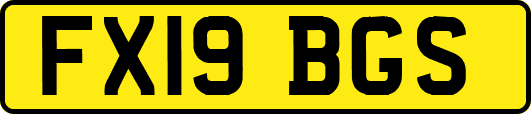 FX19BGS