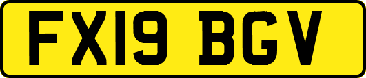 FX19BGV