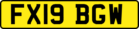 FX19BGW