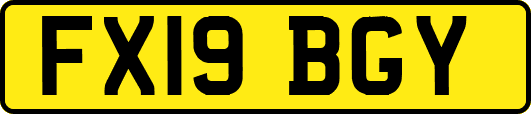 FX19BGY