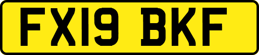 FX19BKF