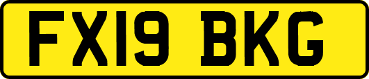 FX19BKG