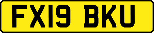 FX19BKU