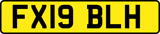 FX19BLH