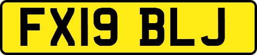 FX19BLJ